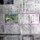 西日本新聞筑豊.JPG